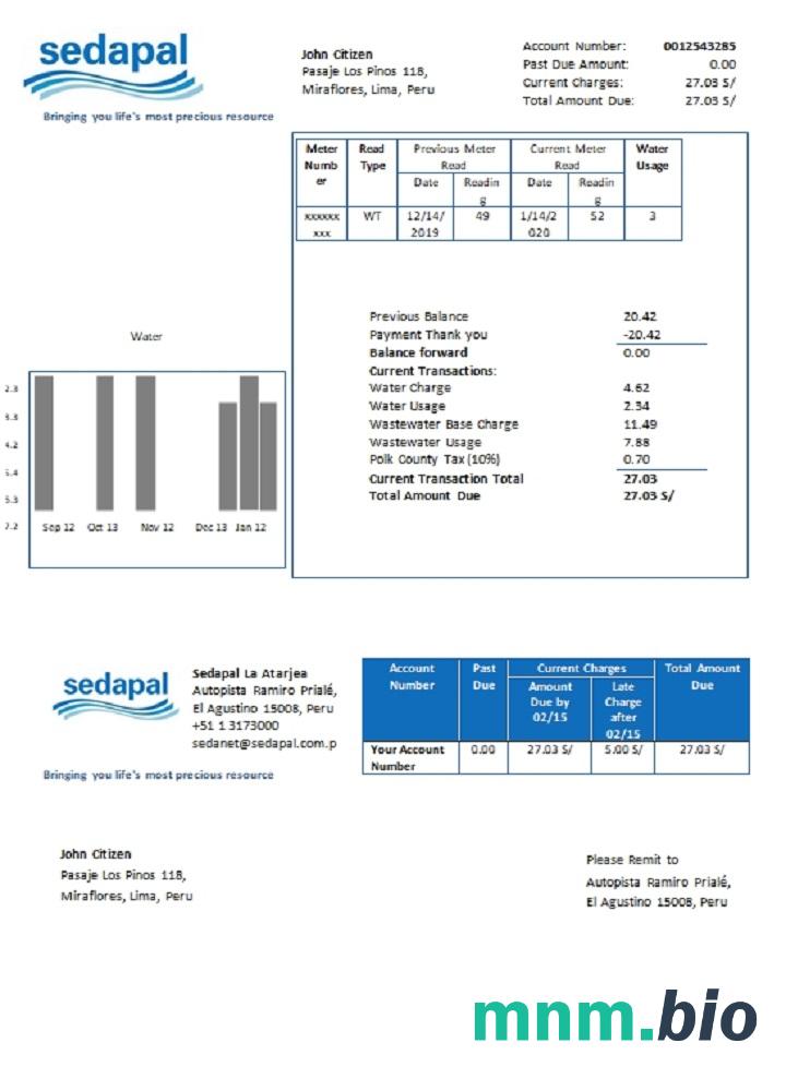 Peru Sedapal La Atarjea woda rachunek za media szablon w formacie Word i PDF